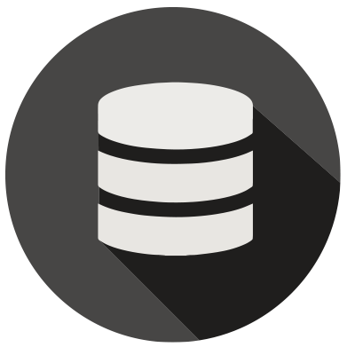 Access to valuable data icon illustration.